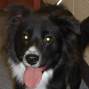 Mason was adopted in November, 2006